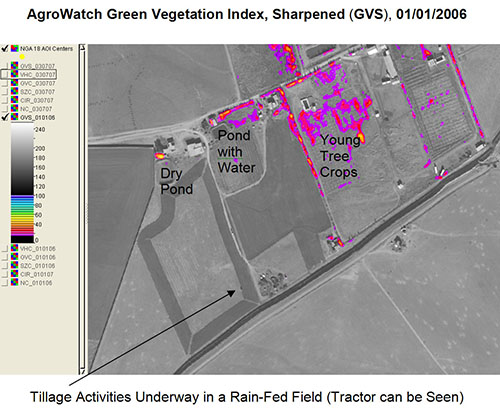 Agrowatch™ Green Vegetation Index - Pan Sharpened