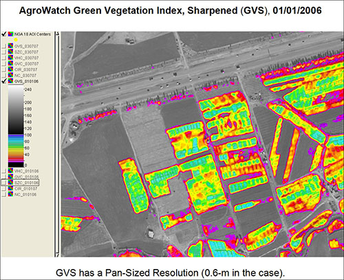 AgroWatch Green Vegetation Index Map