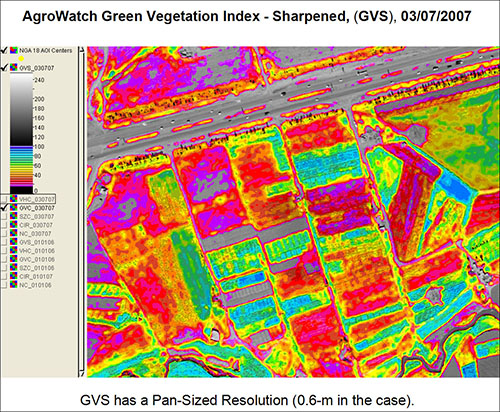 Agrowatch™ Green Vegetation Index - Pan Sharpened